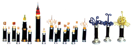 1547187130505537.jpg 1.jpg